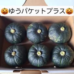 北海道産　坊ちゃんかぼちゃゆうパケットプラスサイズ　送料込のサムネイル