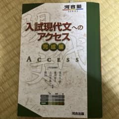 入試現代文へのアクセス 完成編 河合出版のサムネイル