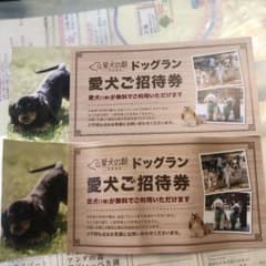 Nさん専用　愛犬の駅ドッグラン　愛犬招待券　２枚のサムネイル