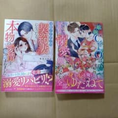 5月新刊 エタニティブックス 2冊 - メルカリ