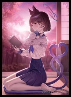 ブルーアーカイブ ブルアカ 桐生キキョウ スリーブ - メルカリ