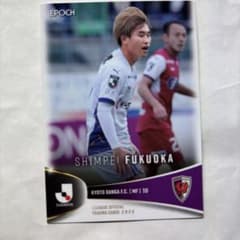 m46620242246_1.jpg?1751895468