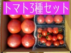 完熟トマト3種セット★トマト、フルーツトマト、ミニトマトのサムネイル