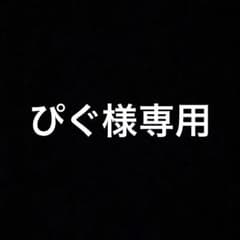 ぴぐ様専用 - 2