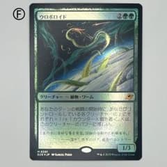 MAGIC The Gathering 日本選手権チャンピオンズデッキ 下敷き | Shop