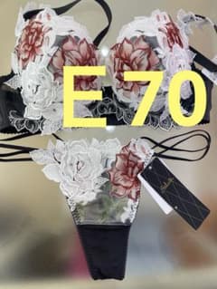 サルート 97グループ⭐️店舗限定⭐️E70/L/M⭐️上下セット 新品タグ