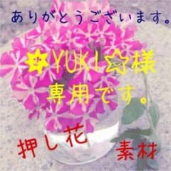 YUKI様　専用です。　押し花素材のサムネイル