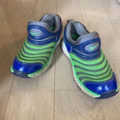 NIKE ナイキ ダイナモフリーのサムネイル