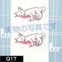 문신 씰 Q17 고양이 흰색