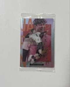 小野寺バレーボールウエハースコレクションのサムネイル