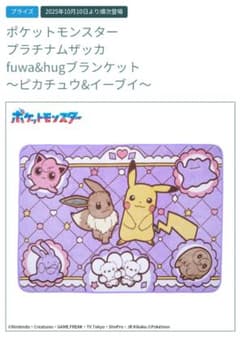 fuwa&hug 담요 ~피카츄&이브이~