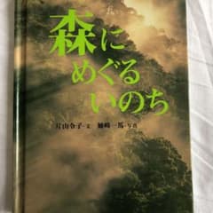 森にらめぐるいのちのサムネイル