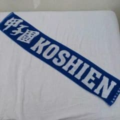 コウキング様専用 甲子園のタオルのサムネイル