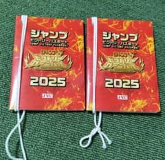 ジャンプビクトリーパスポート 2025 2個セット　ジャンプビクトリーカーニバルのサムネイル
