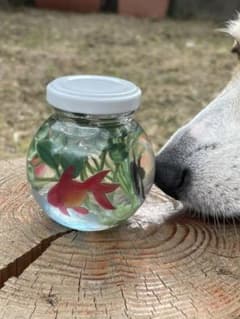 確認用のサムネイル