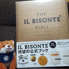 イルビゾンテムック本　バックのみのサムネイル