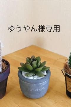 フェイクさぼてんのサムネイル