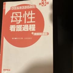 母性　看護過程のサムネイル