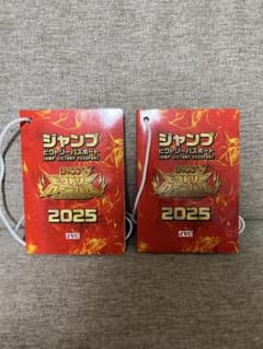 《当日発送》ジャンプビクトリーパスポート 2025 ジャンプフェスタのサムネイル