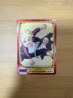BORUTO 우즈마키 볼트 & 나라 사슴 다이 카드