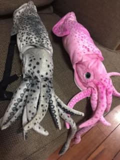 アワビ本舗チャオリカのサムネイル