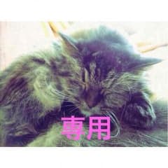 YUKA様専用のサムネイル