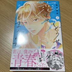 どうせ、恋してしまうんだ。(2)のサムネイル
