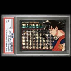 ドラゴンボール ビジュアルアドベンチャー　#257 孫悟空　永遠の物語　カード ドラゴンボール ビジュアルアドベンチャー #257 孫悟空 永遠の物語