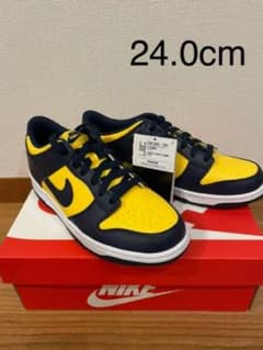 NIKE DUNK ダンクロー　ジュニア　ミシガン　24センチのサムネイル
