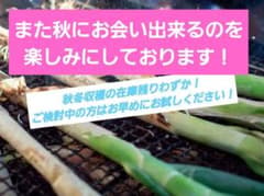 新鮮 長ネギ 　上州のネギ　カラダに優しい　超低農薬手間暇かかってます花見一本焼のサムネイル