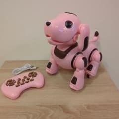 ロボパピー フレンドリーチェリーのサムネイル