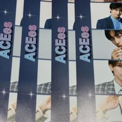 【本日限定価格】ACEes 厚紙カードのサムネイル