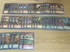 遊戯王　デッキ　ラッシュデュエル　【1／18限定割引中】獣戦士デッキのサムネイル