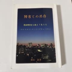 障害との共存 : 精神障害を抱えて生きる : ライフストーリーインタビューからのサムネイル