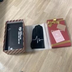 ライブラリーオブルイナ　アンジェリカのための 沈黙手袋ギフト ライブラリーオブルイナ アンジェリカのための沈黙手袋 ギフト