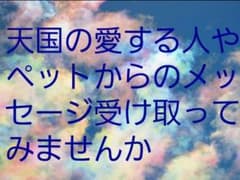 カードリーディング専用です(*^^*)のサムネイル