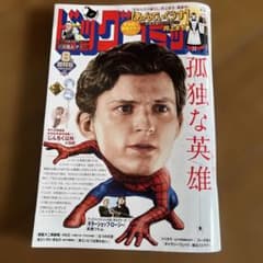 ビッグコミック 8月増刊号のサムネイル