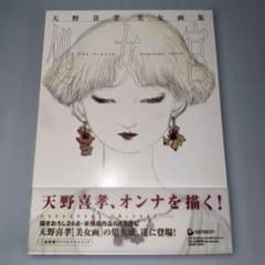 天野喜孝 美女画集 処女宮 希少　【絶版　初版 ブックケース入り 帯付き】 天野喜孝 美女画集 処女宮 希少 【絶版 初版 ブックケース入り 帯付き