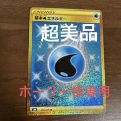ホーリー様専用ですのサムネイル