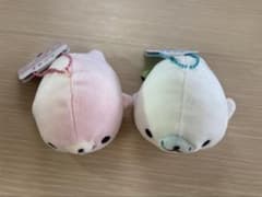 まめゴマ ずっといっしょぬいぐるみ サンエックス しろゴマ さくらゴマ