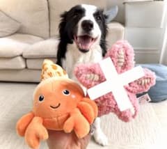 犬用おもちゃ ぬいぐるみ ヤドカリのサムネイル