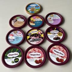 Haagen-Dazs ハーゲンダッツ ミニカップ フタ 10個セット 期間限定
