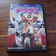 美品  ビバリーヒルズ チワワ2のサムネイル