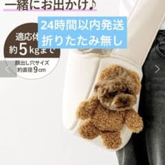 3COINS スリーコインズ ひょっこり顔出しベアバッグ ブラウン - メルカリ