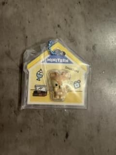 MINITEEN グミ　SHUASUMI ジョシュアのサムネイル