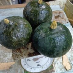 自家栽培 収穫野菜セット かぼちゃのサムネイル