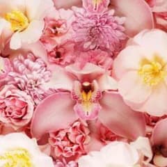 ♡♡♡※プロフ様専用のサムネイル