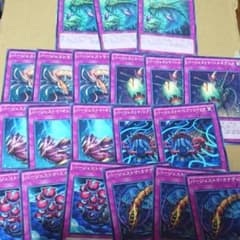 遊戯王 バージェストマ パーツ デッキのサムネイル