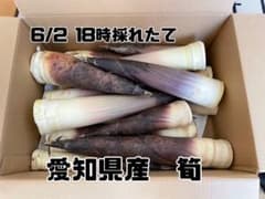 愛知県産 筍　本日発送のサムネイル