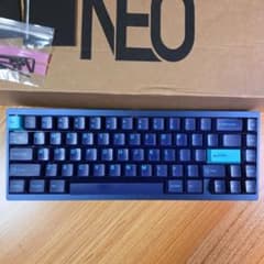 NEO Element G67 ＋ オマケのキーキャップとスイッチ NEO Element G67 オマケのキーキャップとスイッチ 自作キーボード